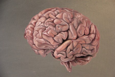 what is wisdom painting of human brain iphone