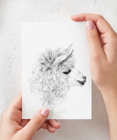 llama drawing print