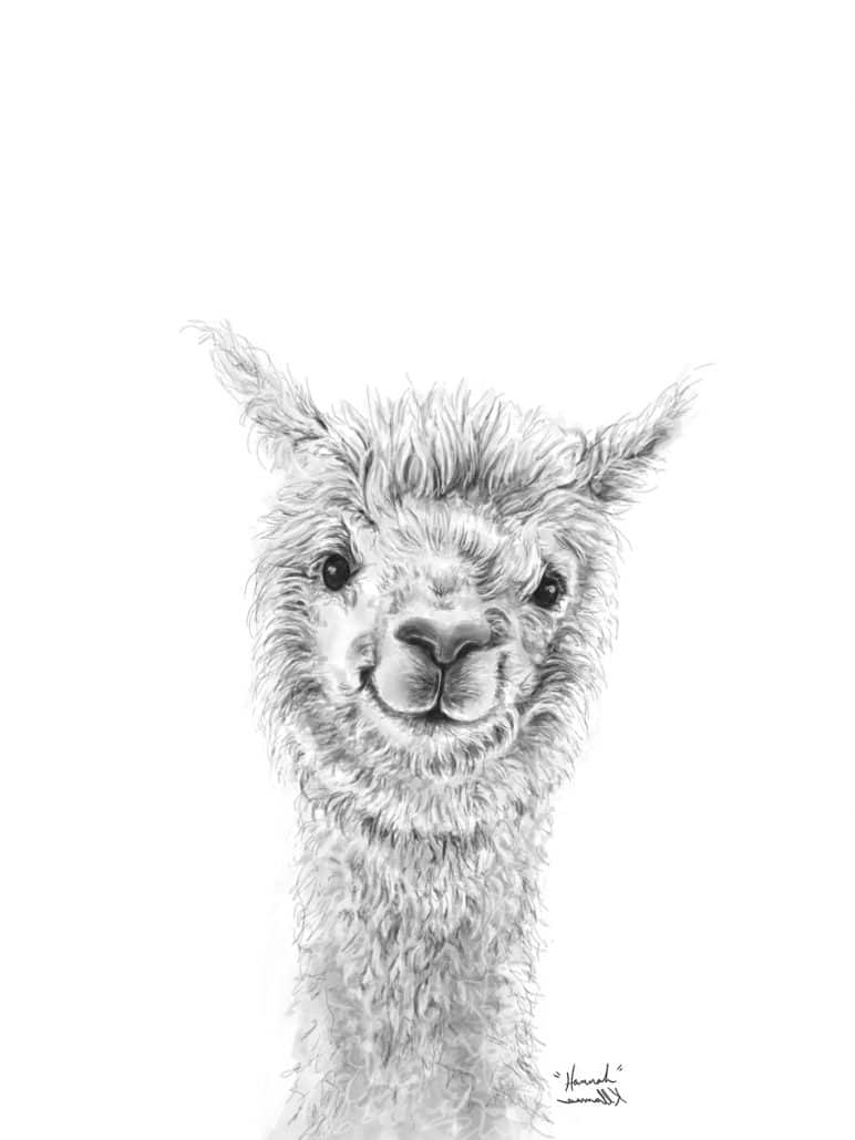 Llamas Art Show - K Llamas Fine Art