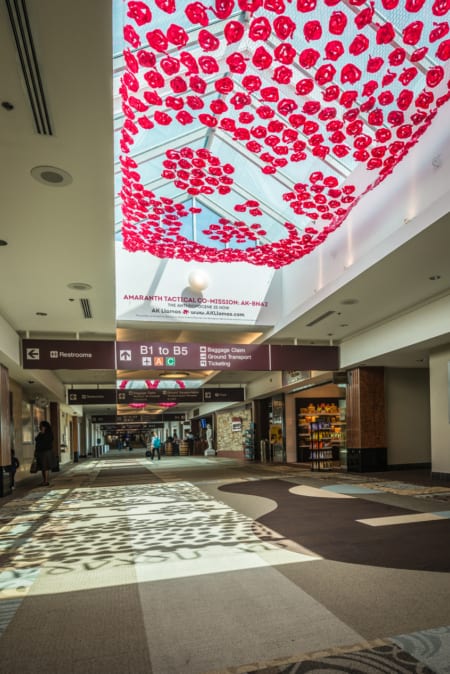 akllamas art installation Nashville Airport for Bonnaroo commission