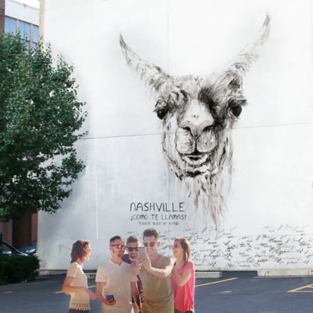 llama-mural-nashville-kristin-llamas