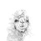 llama drawing by kristin llamas nashville artist