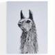 jolene-llama-painting-original-art-nashville-kllamas-gallery